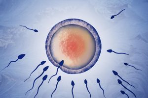 Infertility_srishtiwomensclinic